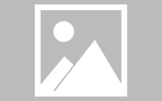 新安搭建外贸网站货到付款（外贸付款平台）